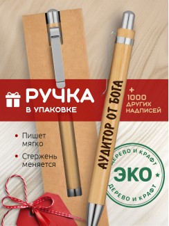 Ручка с гравировкой Аудитор от бога