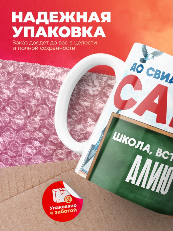 Кружка школа встречай Алию  Саки
