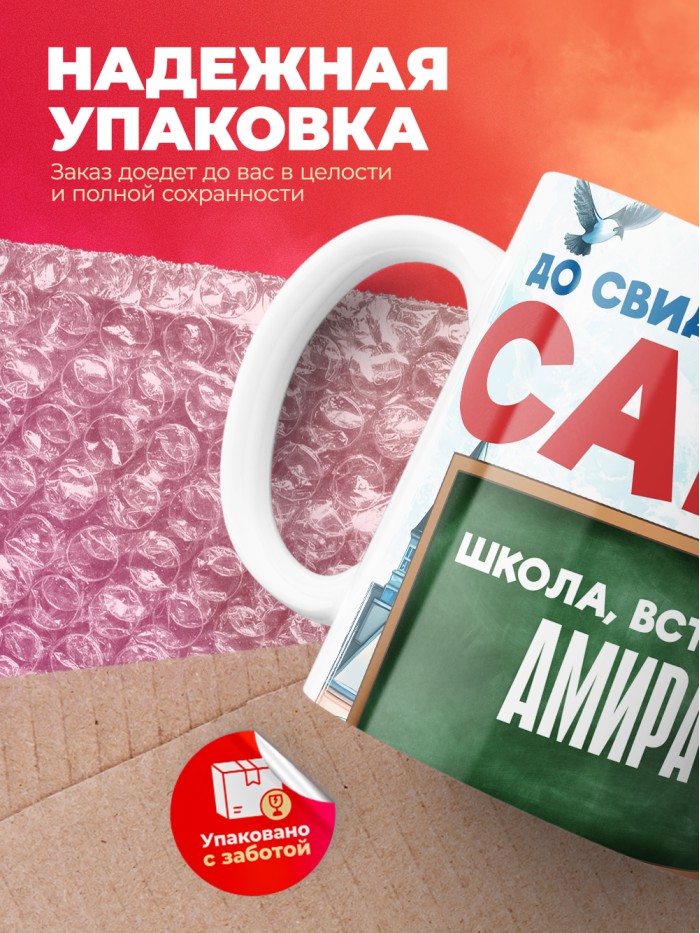 Кружка школа встречай Амира  Саки